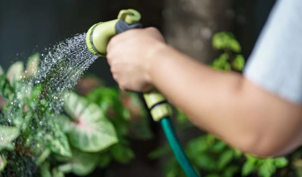 Aprenda a cuidar el agua: EAAB abre inscripciones a su escuela ambiental 7 Aprenda a cuidar el agua: EAAB abre inscripciones a su escuela ambiental Esta iniciativa busca sensibilizar y capacitar a las personas en la importancia de preservar este recurso vital, promoviendo hábitos responsables que contribuyan al bienestar de la ciudad y de sus ecosistemas.