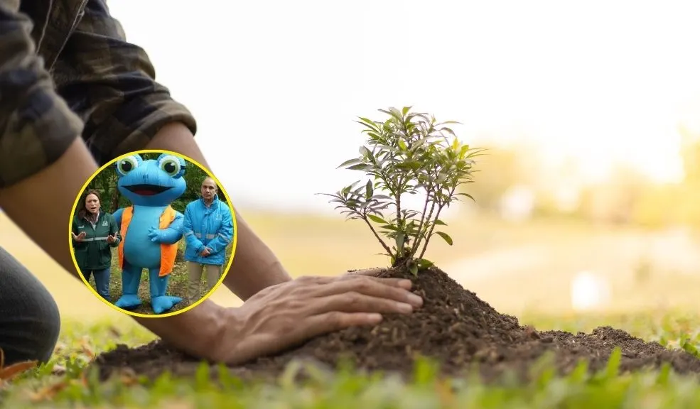 Convierta su factura del Acueducto en un árbol y ayude a sembrar vida 9 Convierta su factura del Acueducto en un árbol y ayude a sembrar vida Con el cambio masivo a la factura virtual, se podrían ahorrar 2.800.000 litros de agua y evitar la tala de 1.190 árboles anuales.