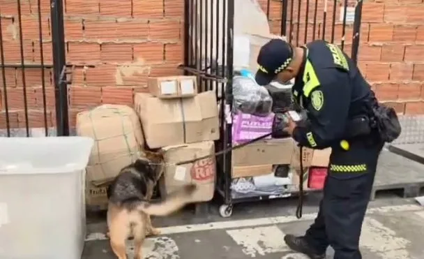 Incautan 'merca' en El Dorado: 35 kilos de marihuana en gomitas y cigarrillos 2 Incautan 'merca' en El Dorado 35 kilos de marihuana en gomitas y cigarrillos