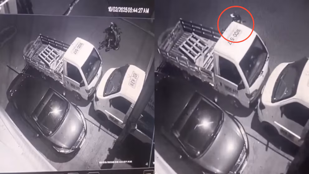 Policía infiltrado se hizo parcero de 'Los Platinos' para desmantelar la banda Durante meses, un policía encubierto se infiltró en ‘Los Platinos’, una de las bandas más temidas de robo de carros en Bogotá. Se ganó su confianza, asistió a reuniones secretas y hasta fingió consumir drogas, todo para reunir pruebas que terminaron con los cabecillas tras las rejas.