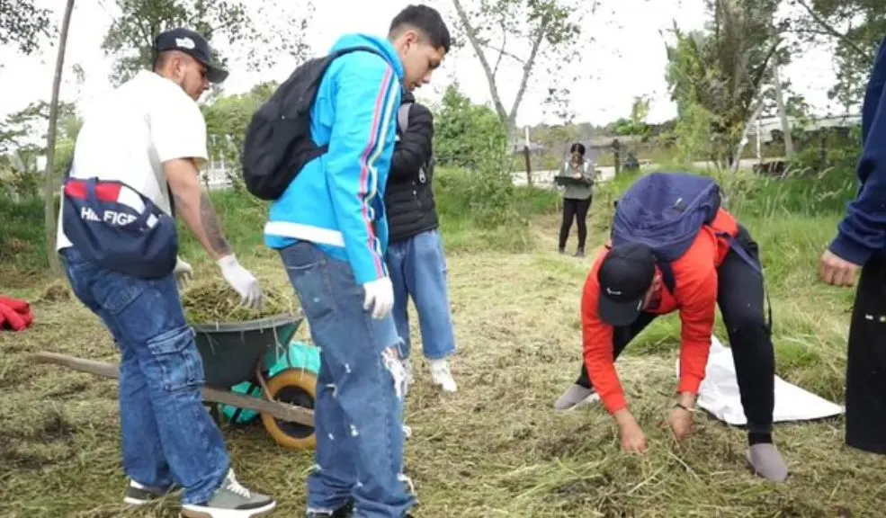 ¡A pagar se dijo! Colados tendrán que hacer servicio comunitario 1 ¡A pagar se dijo! Colados tendrán que hacer servicio comunitario Si usted es de los que comete infracciones como colarse en el TransMilenio para no pagar el pasaje, podría ser llevado a realizar servicio comunitario. Le contamos la nueva iniciativa del Distrito.