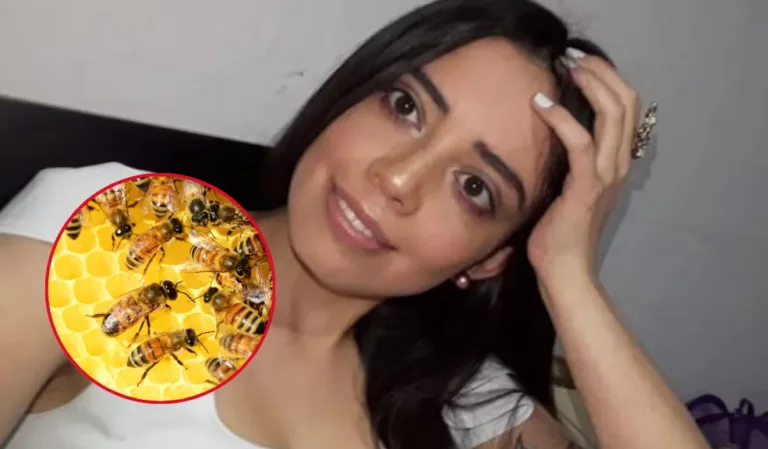 Profesora de la Nacional muere por picadura de abejas