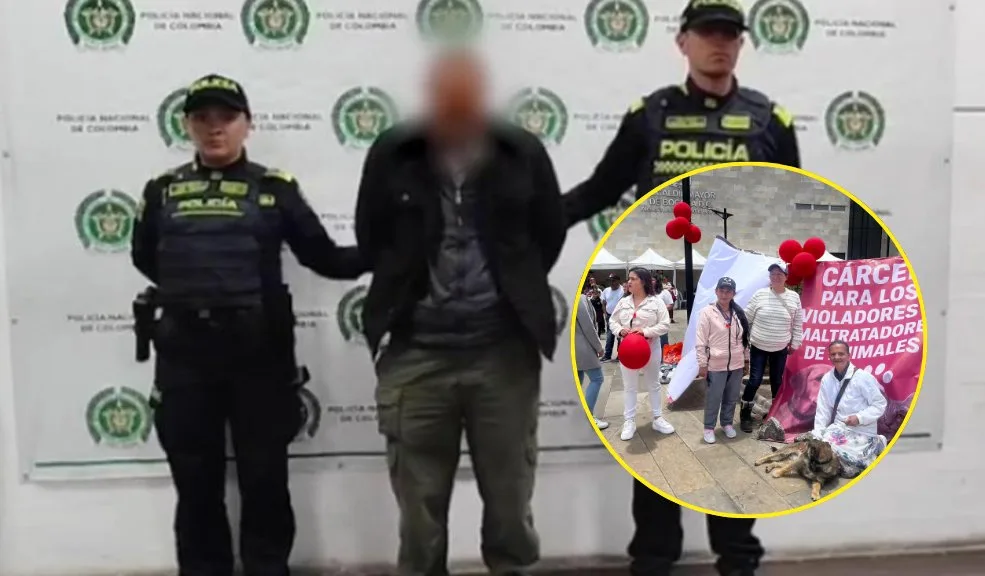 Indignación en Ciudad Bolívar: señalado abusador de perritas quedó libre En Ciudad Bolívar hay indignación por la decisión de dejar libre a un hombre señalado de abusar sexualmente de varias perritas en el barrio Gibraltar. Hubo protestas de la comunidad a las afueras de la Alcaldía Local. Conocimos algunos relatos estremecedores.