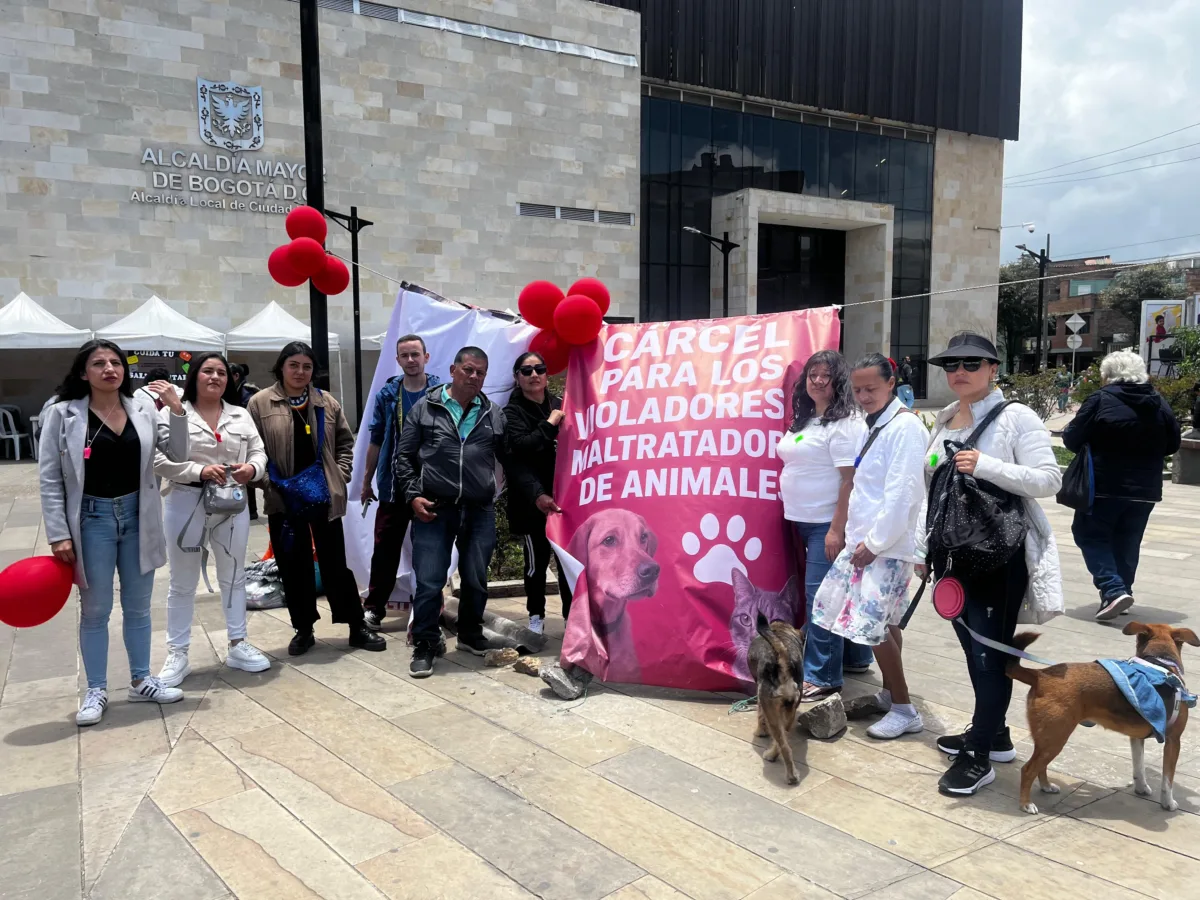 Indignación en Ciudad Bolívar: señalado abusador de perritas quedó libre En Ciudad Bolívar hay indignación por la decisión de dejar libre a un hombre señalado de abusar sexualmente de varias perritas en el barrio Gibraltar. Hubo protestas de la comunidad a las afueras de la Alcaldía Local. Conocimos algunos relatos estremecedores.