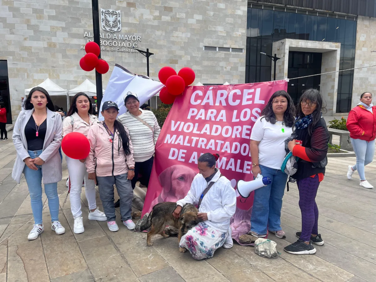 Indignación en Ciudad Bolívar: señalado abusador de perritas quedó libre En Ciudad Bolívar hay indignación por la decisión de dejar libre a un hombre señalado de abusar sexualmente de varias perritas en el barrio Gibraltar. Hubo protestas de la comunidad a las afueras de la Alcaldía Local. Conocimos algunos relatos estremecedores.