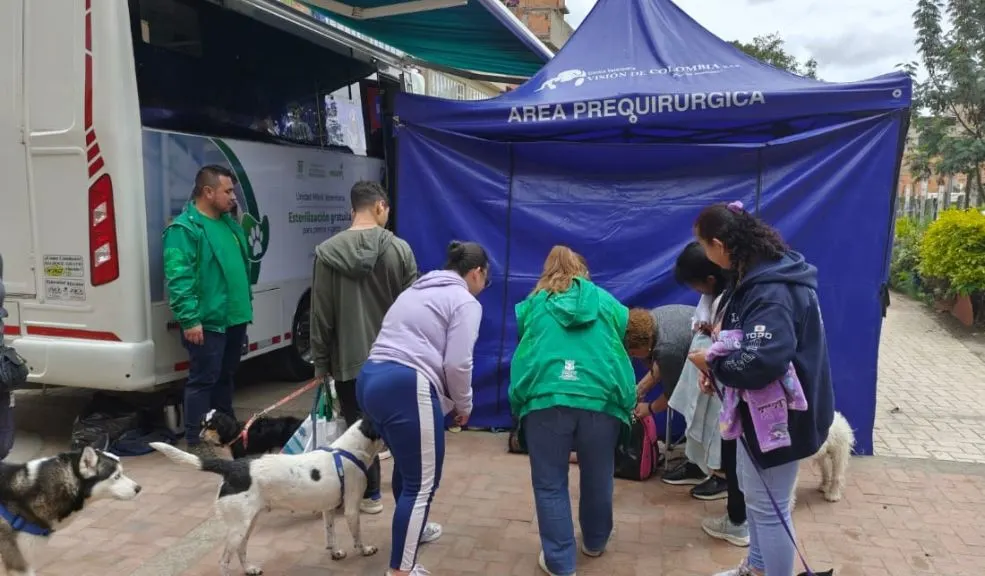 Aliste a sus peluditos: llegan las jornadas de esterilización 1 Aliste a sus peluditos: llegan las jornadas de esterilización Las jornadas de esterilización llegan con 2.000 cupos gratis para que opere a sus peluditos en el mes de septiembre.