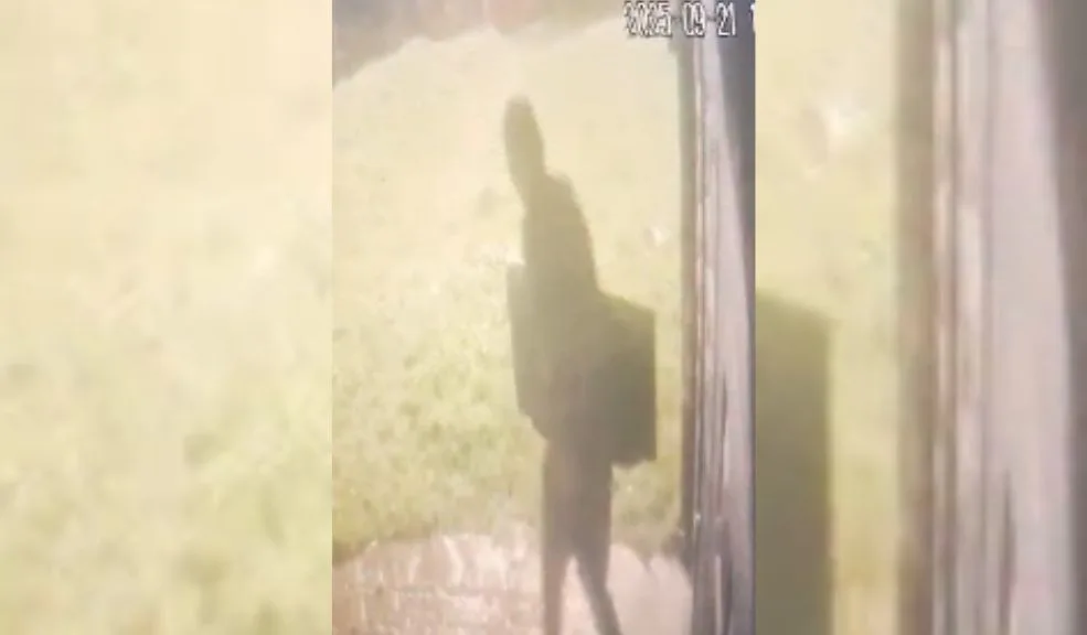 EN VIDEO | Roban el televisor de una iglesia en Chuniza (Usme), en plena misa El robo de un televisor en la iglesia Madre Laura generó gran indignación entre los habitantes de Chuniza, en Usme. El suceso quedó registrado en un video.