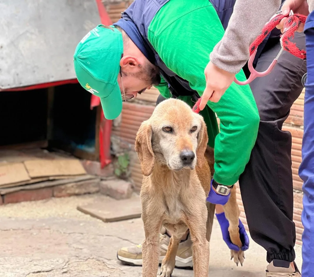 En Engativá habrá jornada de adopción de peludos para celebrar el Amor y la Amistad En este Día de Amor y Amistad, encuentra ambas cosas adoptando un peludito. La jornada de adopción se realizará en Engativá el sábado 20 de septiembre.