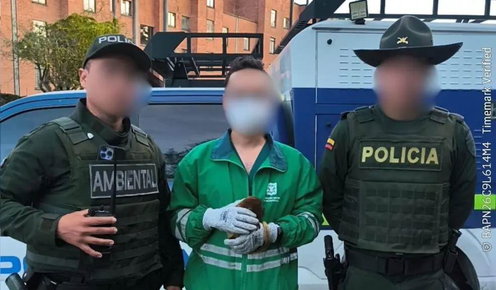 En Fontibón rescatan a mono aullador bebé que estaba en cautiverio 2 En Fontibón rescatan a mono aullador bebé que estaba en cautiverio La lucha contra el cautiverio de la fauna silvestre continúa. En las últimas horas, la Secretaría de Ambiente logró rescatar a un mono aullador bebé en la localidad de Fontibón.