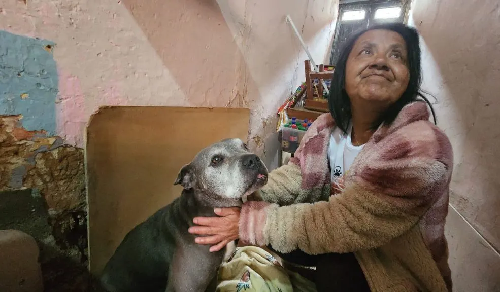En La Candelaria, Luz Marina lucha por un techo para sus 42 animalitos Luz Marina, fundadora de ‘Luzma Peluditos’, está a punto de perder la casa en La Candelaria donde cuida a 37 perros y 5 gatos rescatados. Pide ayuda para no dejarlos sin techo.