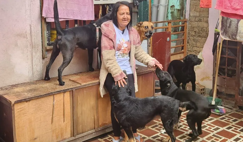 En La Candelaria, Luz Marina lucha por un techo para sus 42 animalitos Luz Marina, fundadora de ‘Luzma Peluditos’, está a punto de perder la casa en La Candelaria donde cuida a 37 perros y 5 gatos rescatados. Pide ayuda para no dejarlos sin techo.