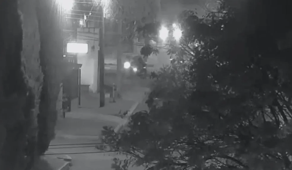 En Teusaquillo, pillo cayó herido en pleno robo Como de película fue la captura de un sujeto que intentaba cometer un hurto junto a otro cómplice, quien logró escapar y ahora es buscado por las autoridades. La escena terminó con uno de los pillos herido y tirado en plena calle de la localidad de Teusaquillo, en Bogotá.