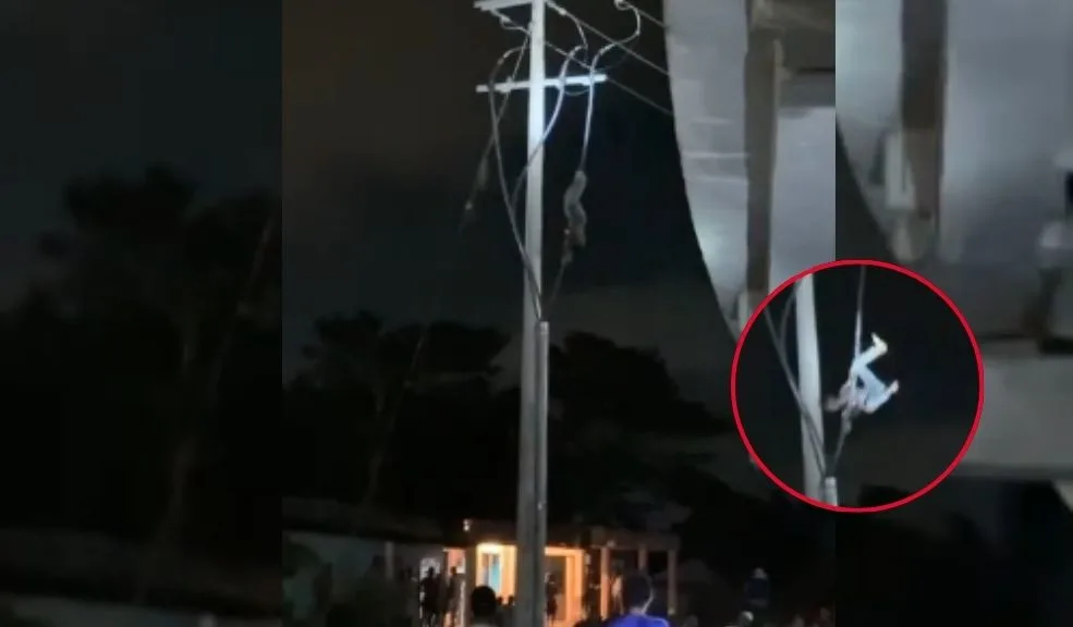 En video: se subió a un poste para atrapar pajaritos y terminó electrocutado 6 En video: se subió a un poste para atrapar pajaritos y terminó electrocutado Un video captado por testigos muestra el momento en que el hombre cae del poste tras haber sido electrocutado. El incidente ocurrió mientras intentaba atrapar unos pajaritos.