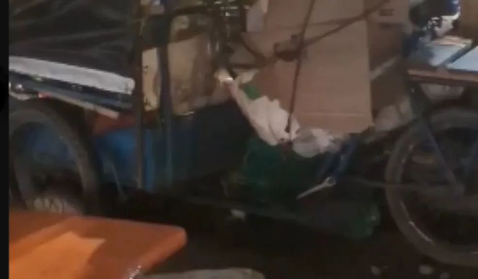 Hallan nido de ratas junto a comida callejera en el norte de Bogotá Una pareja de ciudadanos denunció por medio de redes sociales un nido de ratas debajo de los puestos callejeros ubicados en el norte de Bogotá.