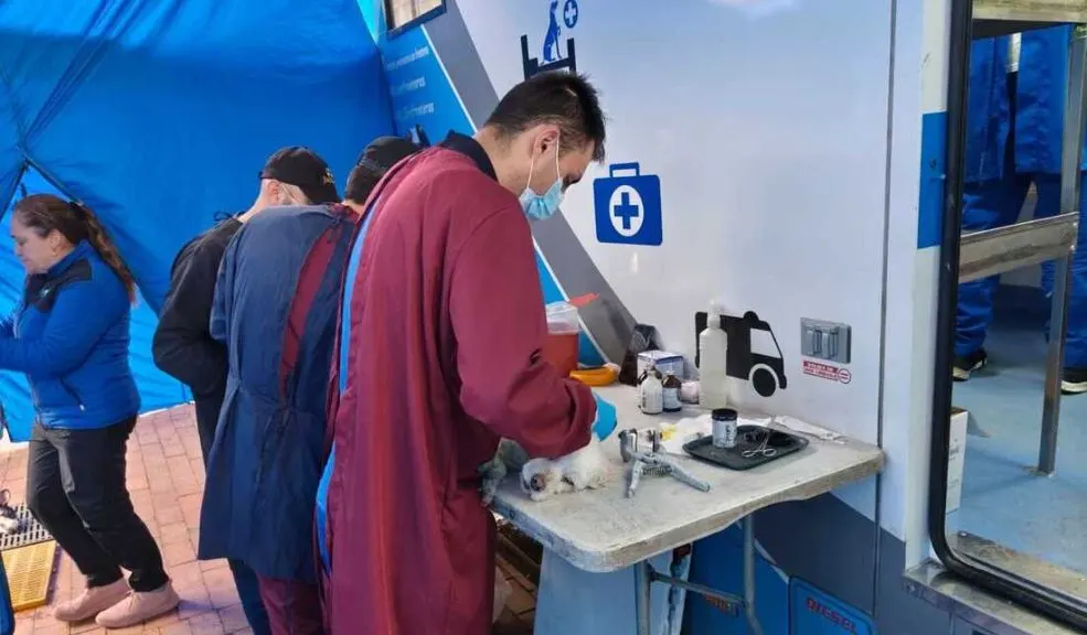 Prepare a sus peluditos: en Bogotá abren 10.000 cupos de esterilización gratis Si se quedó sin cupo para esterilizar a su peludito en septiembre, la Alcaldía Mayor de Bogotá y el Instituto Distrital de Protección y Bienestar Animal (IDPYBA) habilitaron, en esta versión de octubre, 10.000 cupos para que más peluditos accedan a los beneficios.