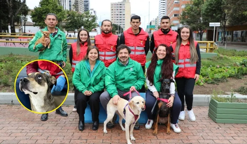 Rescatan animalitos explotados para la mendicidad en TransMilenio 7 Rescatan animalitos explotados para la mendicidad en TransMilenio A raíz del rescate de un perro y un gato que eran explotados para la mendicidad en TransMilenio, el Distrito anunció la creación del Bloque de Atención y Rescate (BAR).