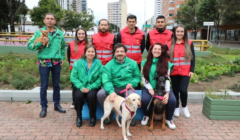 Rescatan animalitos explotados para la mendicidad en TransMilenio 2 Rescatan animalitos explotados para la mendicidad en TransMilenio A raíz del rescate de un perro y un gato que eran explotados para la mendicidad en TransMilenio, el Distrito anunció la creación del Bloque de Atención y Rescate (BAR).