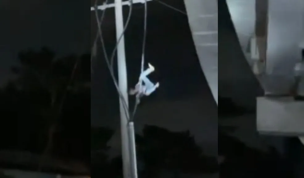 En video: se subió a un poste para atrapar pajaritos y terminó electrocutado Un video captado por testigos muestra el momento en que el hombre cae del poste tras haber sido electrocutado. El incidente ocurrió mientras intentaba atrapar unos pajaritos.