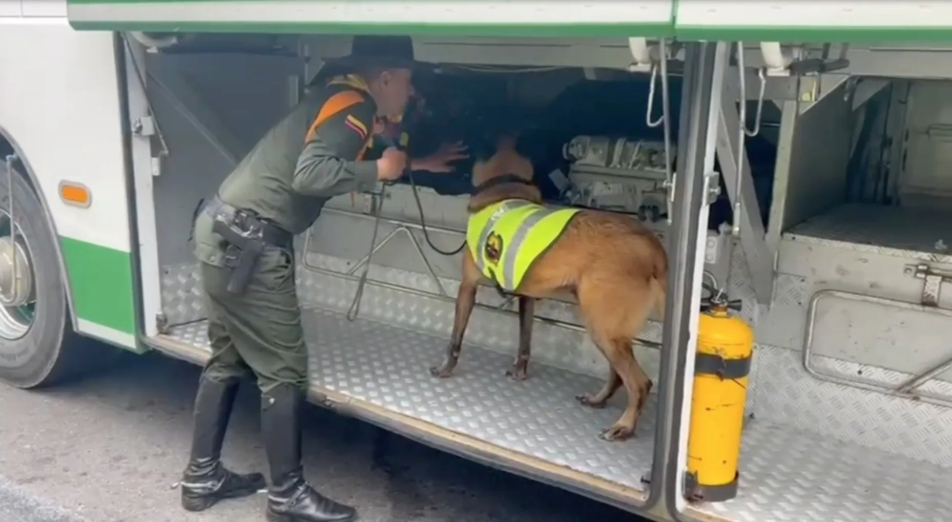 En Sibaté: un perro policía lo delató. ¡Cayó por un kilo de marihuana! Gracias al trabajo conjunto de la Policía y del perro 'Pettyd', un ciudadano tendrá que responder ante la justicia. En la vía Sibaté - Soacha le hallaron un kilo de marihuana.