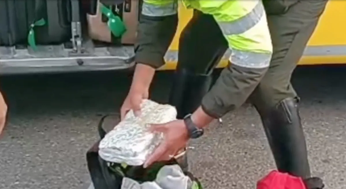 En Sibaté: un perro policía lo delató. ¡Cayó por un kilo de marihuana! Gracias al trabajo conjunto de la Policía y del perro 'Pettyd', un ciudadano tendrá que responder ante la justicia. En la vía Sibaté - Soacha le hallaron un kilo de marihuana.