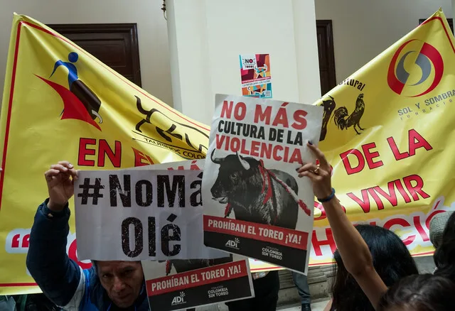 Colombia dice adiós a las corridas de toros, corralejas, coleo y peleas de gallos 2 Colombia dice adiós a las corridas de toros, corralejas, coleo y peleas de gallos Por decisión de la Corte Constitucional, se declaró la prohibición de actividades como las corridas de toros, las corralejas y las peleas de gallos, entre otras donde se presente el maltrato hacia los animales. Este es su argumento.
