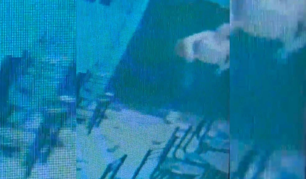 Capturan a presuntos integrantes de las FARC y el ELN por terrorismo 2 Capturan a presuntos integrantes de las FARC y el ELN por terrorismo En operativos realizados en Putumayo y Huila, la Policía Nacional capturó a tres personas señaladas de pertenecer a las disidencias de las FARC y al ELN por su presunta participación en acciones terroristas en Bogotá y otras regiones del país.