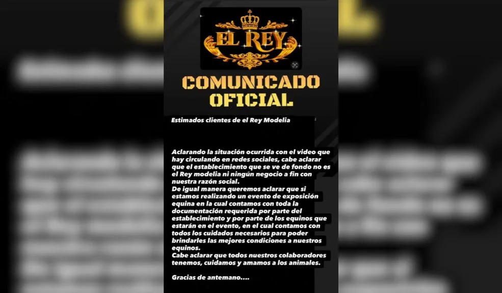 Abren investigación ante denuncia de maltrato a caballo en un bar de Fontibón 2 Abren investigación ante denuncia de maltrato a caballo en un bar de Fontibón Un video viral ha desatado una ola de indignación en redes sociales, mostrando un presunto caso de maltrato animal en la localidad de Fontibón.