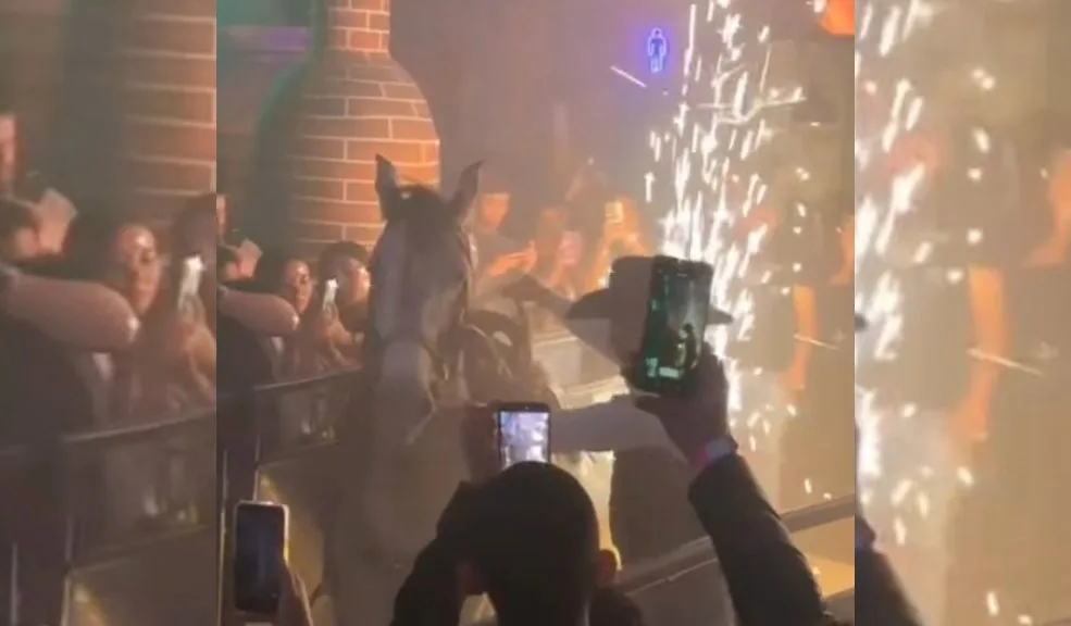 Abren investigación ante denuncia de maltrato a caballo en un bar de Fontibón 1 Abren investigación ante denuncia de maltrato a caballo en un bar de Fontibón Un video viral ha desatado una ola de indignación en redes sociales, mostrando un presunto caso de maltrato animal en la localidad de Fontibón.