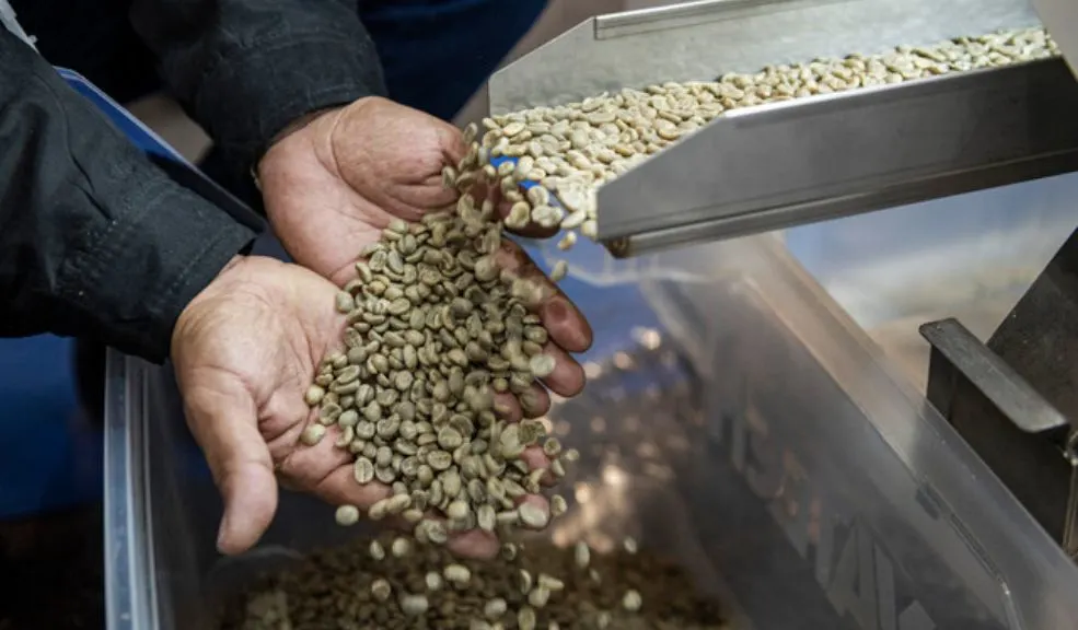 Café de Colombia Expo 2025 fue un éxito en ventas y asistencia La feria, transformada en una verdadera fiesta del café, reunió a productores, baristas y consumidores en torno a la cultura, la innovación y el sabor del grano que identifica al país en el mundo.