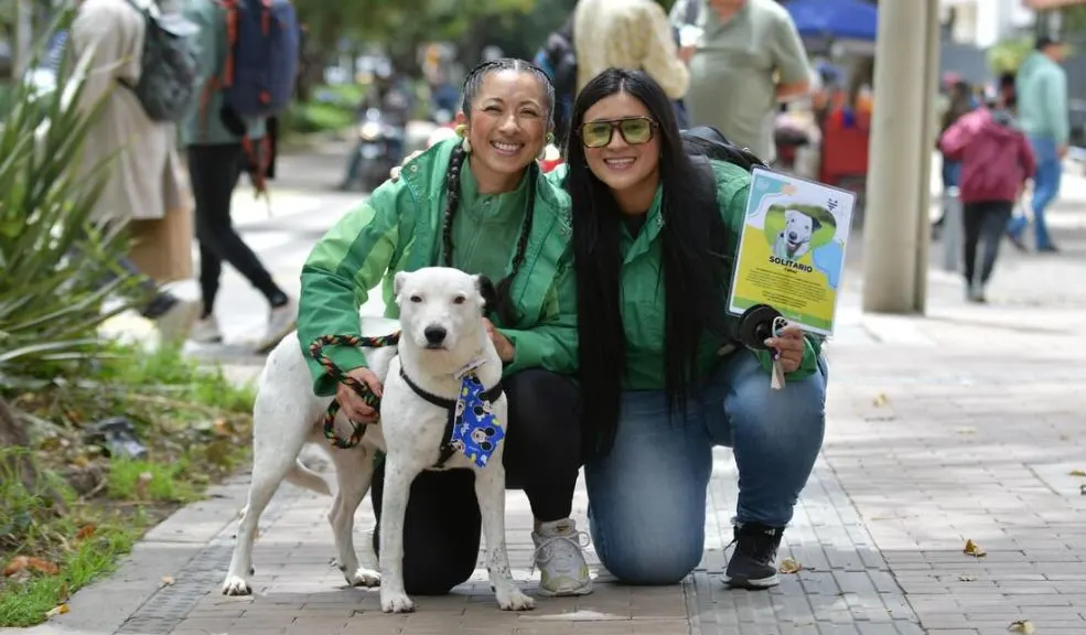 Chapinero: regálele un hogar a un peludito rescatado y encuentre a su compañero fiel A Chapinero llega una jornada de adopción de perros y gatos para celebrar el Día Mundial de los Animales. El Instituto Distrital de Protección y Bienestar Animal (IDPYBA) hace una invitación a todos los habitantes para que le den una oportunidad a estos peluditos y, de paso, encuentren un compañero fiel dispuesto a llenarlos de amor.