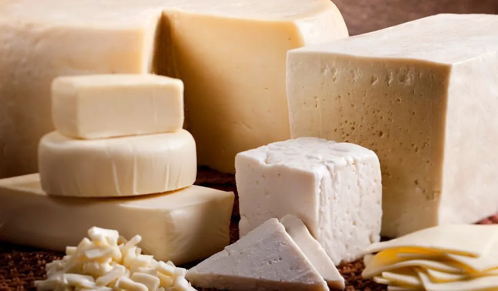 Compre queso fresco a los campesinos en 'La Gran Quesatón' Si es amante del queso con bocadillo, con chocolate, en la changua o es de quienes lo mezclan con todo, esta es la oportunidad perfecta para adquirir queso fresco, de altísima calidad y a buenos precios en 'La Gran Quesatón' de los campesinos.