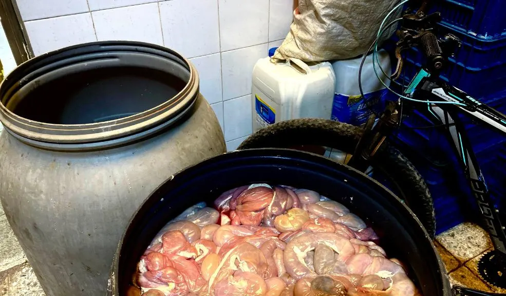 En Kennedy: vendían morcilla en una bodega clandestina. Había ratas 1 En Kennedy: vendían morcilla en una bodega clandestina. Había ratas Luego de varias denuncias ciudadanas, fue sellada en Kennedy una bodega clandestina de fabricación de morcilla, ubicada en el barrio Socorro.