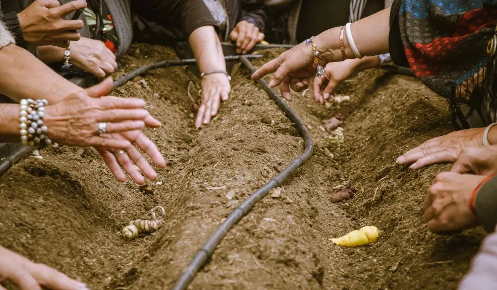 El Jardín Botánico inauguró banco de semillas para huertas urbanas en Puente Aranda 2 El Jardín Botánico inauguró banco de semillas para huertas urbanas en Puente Aranda En Puente Aranda empezó a operar el más reciente Banco Comunitario de Semillas Agroecológicas, en el que los bogotanos podrán conseguir semillas para sus huertas urbanas.