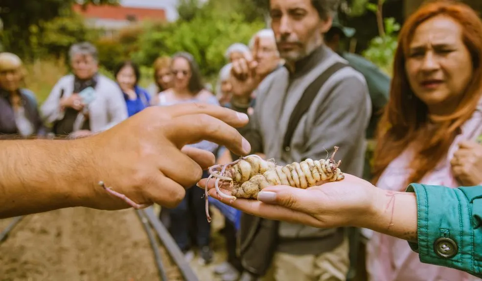 El Jardín Botánico inauguró banco de semillas para huertas urbanas en Puente Aranda 3 El Jardín Botánico inauguró banco de semillas para huertas urbanas en Puente Aranda En Puente Aranda empezó a operar el más reciente Banco Comunitario de Semillas Agroecológicas, en el que los bogotanos podrán conseguir semillas para sus huertas urbanas.