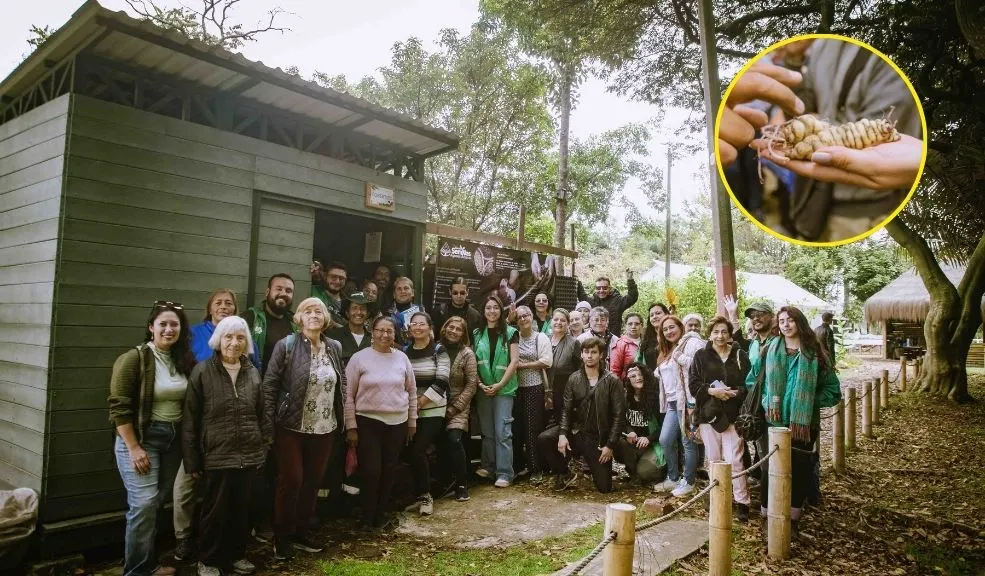 El Jardín Botánico inauguró banco de semillas para huertas urbanas en Puente Aranda En Puente Aranda empezó a operar el más reciente Banco Comunitario de Semillas Agroecológicas, en el que los bogotanos podrán conseguir semillas para sus huertas urbanas.