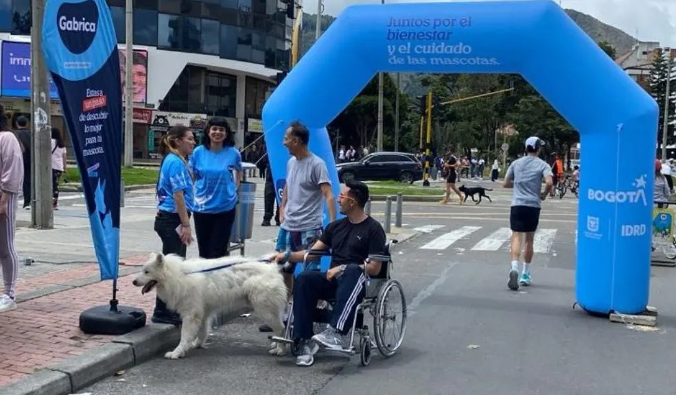 En Bogotá, el plan de ciclovía ahora contará con actividades para mascotas La tradicional ciclovía de Bogotá, que se realiza todos los domingos desde hace 50 años, ahora incluirá actividades especiales pensadas para los peluditos de la casa y sus familias.