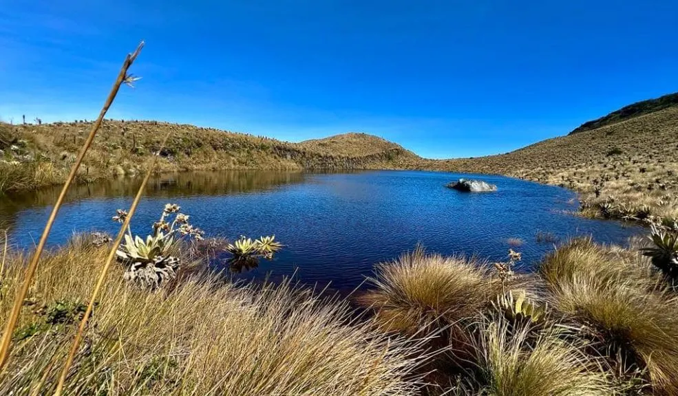 Iniciativa protege el agua de los páramos para garantizar el bienestar de millones 1 Iniciativa protege el agua de los páramos para garantizar el bienestar de millones Surge una iniciativa que protege y reconoce el valor del agua en los páramos Chingaza, Sumapaz, Guerrero y Guacheneque.