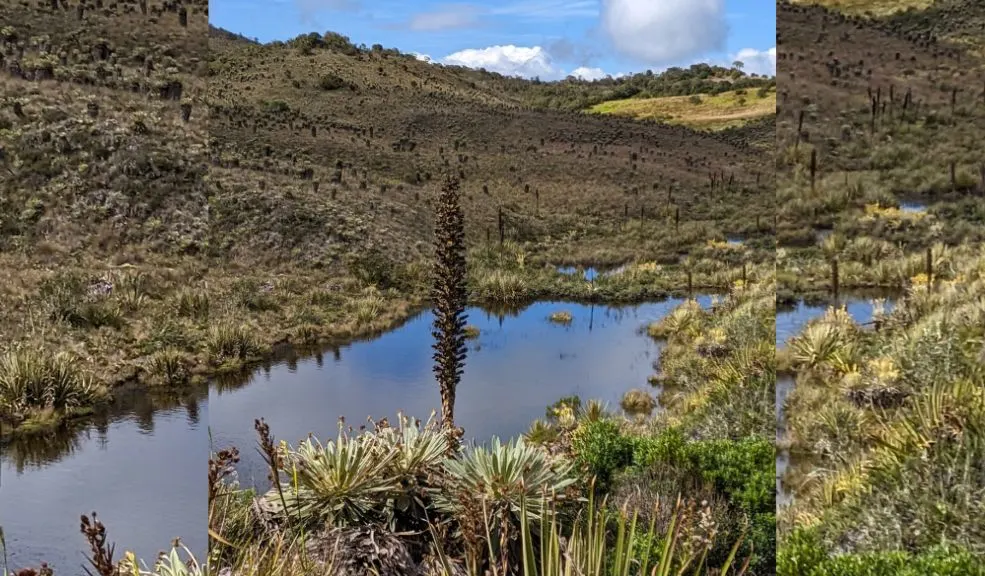 Iniciativa protege el agua de los páramos para garantizar el bienestar de millones 2 Iniciativa protege el agua de los páramos para garantizar el bienestar de millones Surge una iniciativa que protege y reconoce el valor del agua en los páramos Chingaza, Sumapaz, Guerrero y Guacheneque.