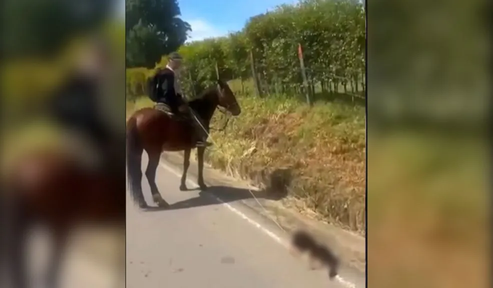 Maltrato animal: hombre arrastró a un perro mientras iba a caballo Un nuevo caso de crueldad animal generó indignación en redes sociales, luego de que se difundiera un video en el que se ve a un hombre arrastrando a un perro mientras va montado en un caballo.