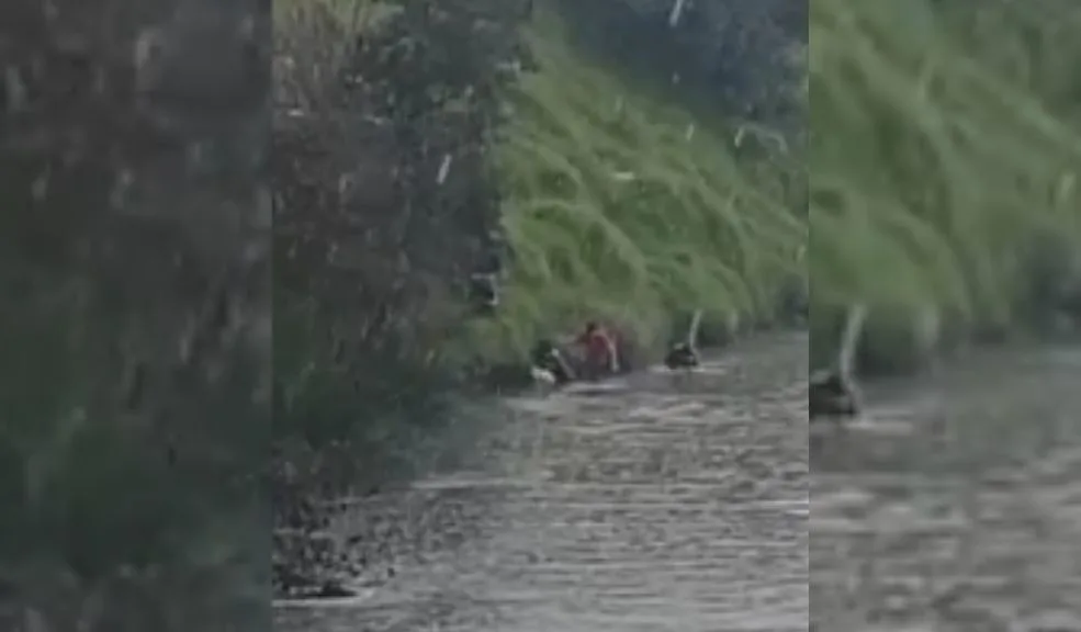 Suba: Bebé fue rescatada del río Bogotá luego de que su madre se arrojara con ella Angustiantes momentos vivió la comunidad de Suba luego de que una madre, al parecer, se arrojara al río Bogotá con su bebé mientras llovía. Ante la situación, varias personas de la zona y agentes de Policía se lanzaron al agua para salvarlas a ambas.