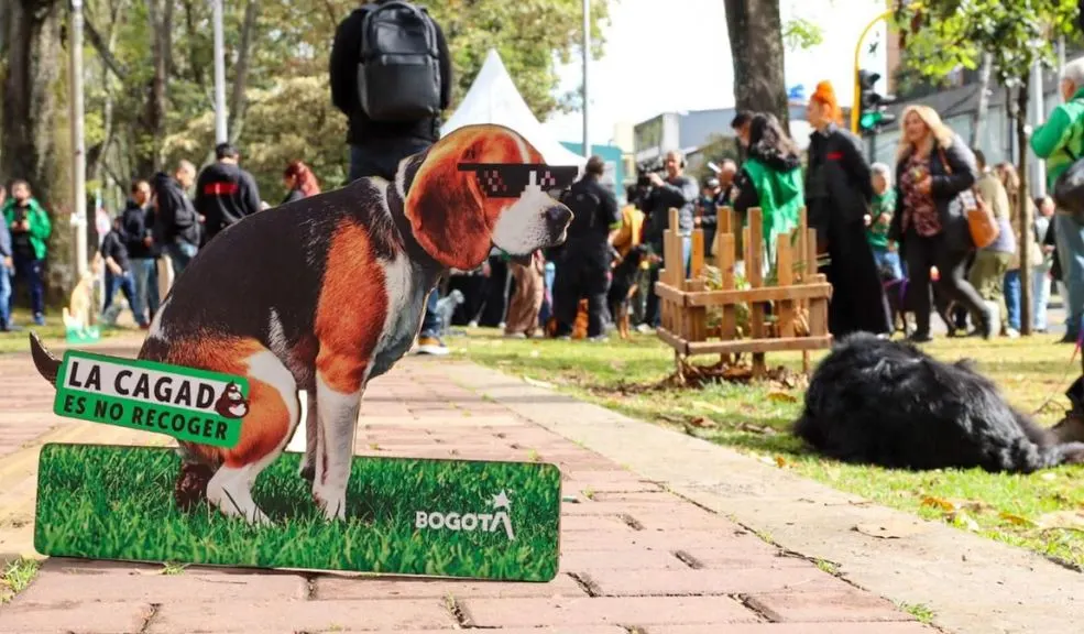 'La cagada es no recoger': Bogotá lanza campaña para que los dueños de mascotas sean más responsables 2 'La cagada es no recoger': Bogotá lanza campaña para que los dueños de mascotas sean más responsables Bogotá lanza la campaña 'La cagada es no recoger' para que los dueños de mascotas comprendan que tener un peludito en casa implica responsabilidad. Parte de esa responsabilidad es recoger sus heces y no dejarlas en la calle, promoviendo así una ciudad más limpia y una convivencia respetuosa.