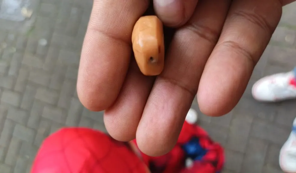 Precaución en Halloween: denuncian agujas dentro de dulces Un padre de familia relató que, mientras pedía golosinas cerca de la Catedral, un sujeto depositó un dulce que, al ser revisado, se encontró manipulado.
