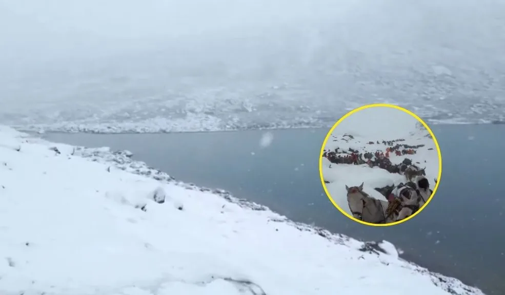 Cientos de rescatados del Monte Everest tras intensas nevadas en China 3 Cientos de rescatados del Monte Everest tras intensas nevadas en China Una masiva operación de rescate se ha desplegado en China tras intensas nevadas que afectaron el Monte Everest y otras zonas del Tíbet.