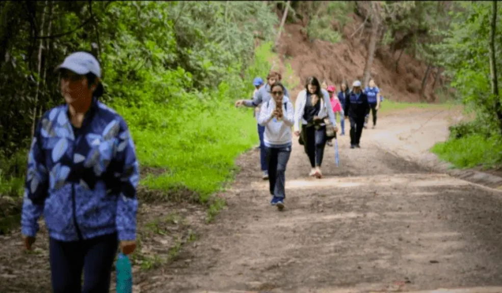 ¿Le gustan las caminatas naturales? Este domingo habrá una en Usme: prográmese 2 ¿Le gustan las caminatas naturales? Este domingo habrá una en Usme: prográmese Este domingo 5 de octubre, Bogotá se pone en modo naturaleza: una caminata ecológica en Usme que invita a respirar aire puro, ejercitarse y redescubrir la belleza del sur de la ciudad. Le contamos cómo participar.