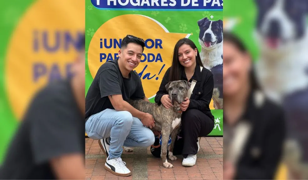 La historia de Astra Milagros: una perrita que encontró su hogar tras ser atacada con un machete La perrita criolla Astra Milagros, tras ser víctima de maltrato en 2019, finalmente encontró un hogar después de seis años y más de cien jornadas de adopción.