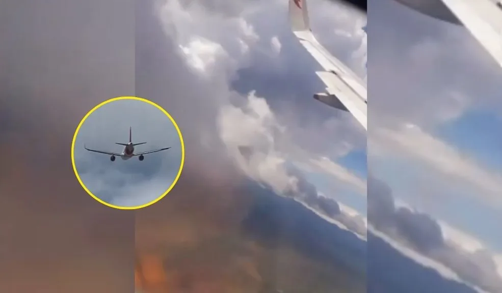 En video: avión de Avianca que venía para Bogotá sufrió choque con un ave Un vuelo de Avianca que cubría la ruta Popayán-Bogotá se vio obligado a realizar un aterrizaje preventivo tras el impacto de un ave en una de sus turbinas.