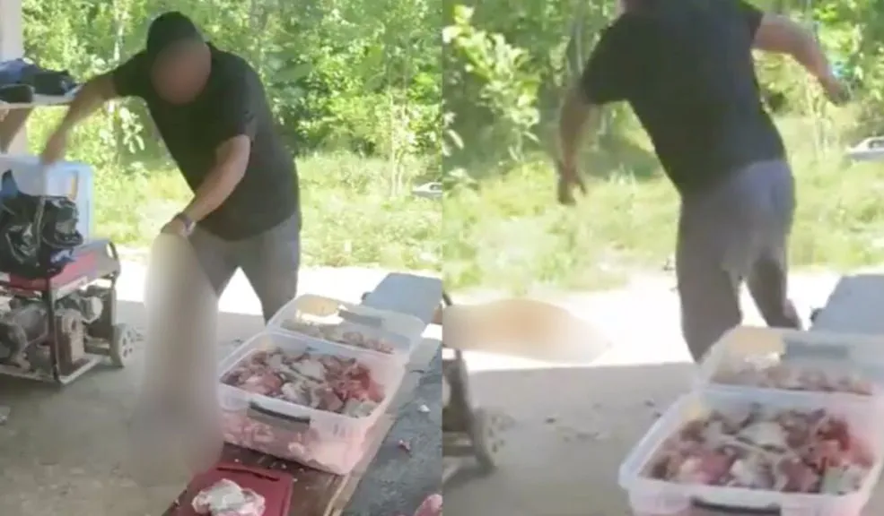 Bizcocho, el perrito golpeado brutalmente, quedó con miedo hacia los hombres 1 Bizcocho, el perrito golpeado brutalmente, quedó con miedo hacia los hombres El gobernador de Antioquia visitó a Bizcocho, el perrito que fue brutalmente agredido por su dueño, y dijo que su recuperación física avanza de buena manera. Sin embargo, escucha voz masculina y demuestra temor.