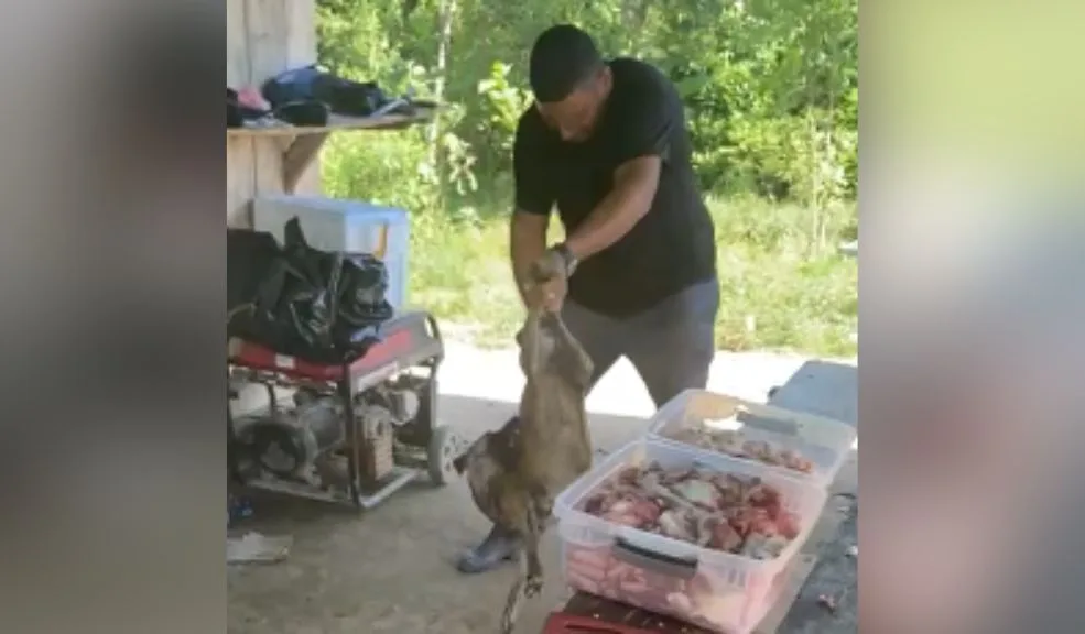 Buscan a sujeto que protagonizó un indignante hecho de maltrato animal En redes sociales circula un desgarrador video de maltrato animal en el que se observa a un sujeto tomando a un perro por las patas traseras, golpeándolo en repetidas ocasiones, arrojándolo al suelo y propinándole patadas. Los usuarios exigen que el responsable responda por este grave caso de maltrato animal.