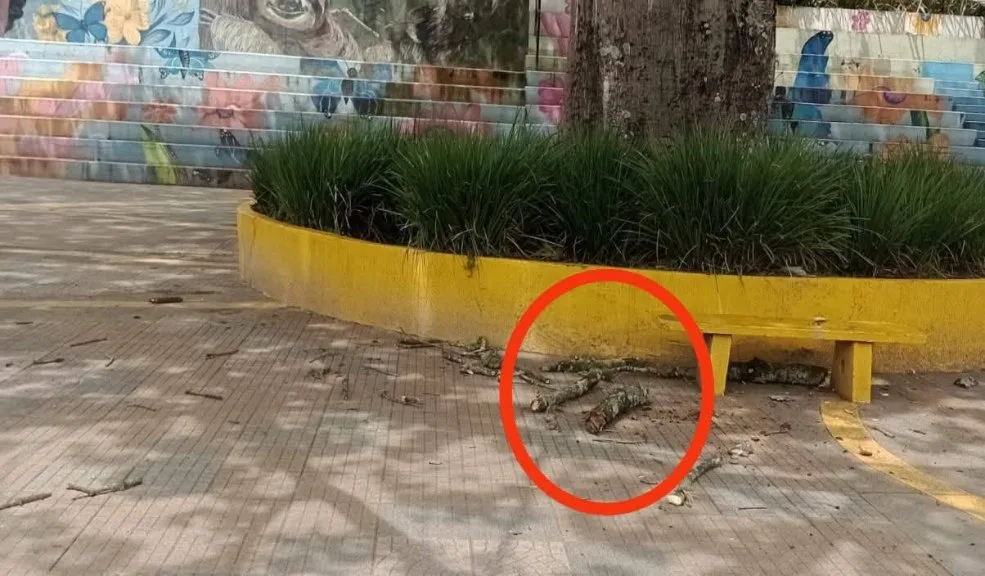 Cundinamarca: insólita muerte de un bebé en Silvania La tranquilidad que se respiraba en Silvania (Cundinamarca) se quebró cuando un accidente en la concha acústica terminó en una tragedia que estremeció al municipio. Una menor de un año, de nacionalidad ecuatoriana, asistía junto a su madre a un evento comunitario y perdió la vida.