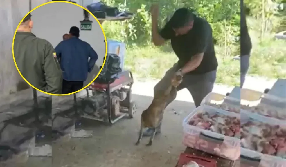 El agresor del perrito en Bolívar se entregó voluntariamente tras días de búsqueda